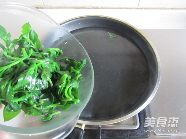 凉拌田七叶的做法