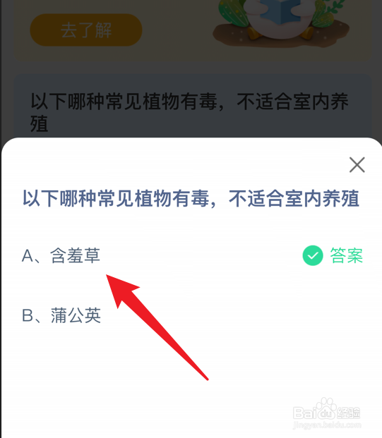 哪种常见植物有毒不适合室内养殖蚂蚁庄园