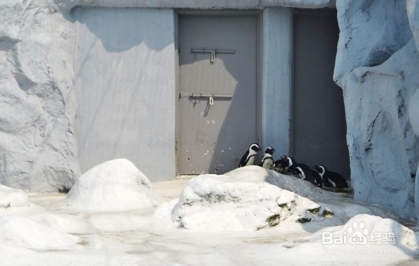 韩国光州牛峙公园旅游攻略