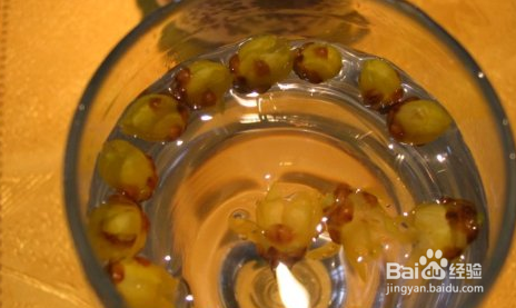 腊梅花鸡糕攻略