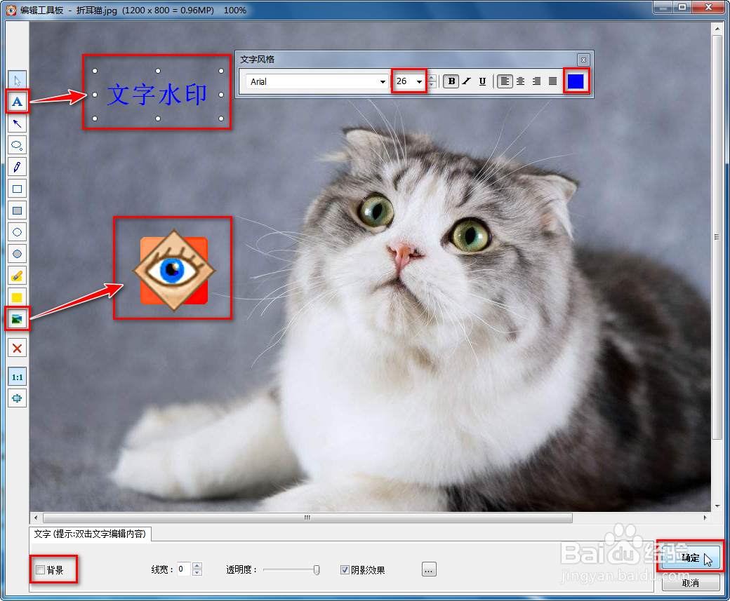 用FSViewer给图片添加文字、图片水印