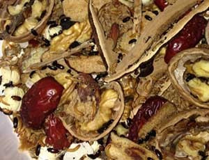 九龙虫在家怎么养