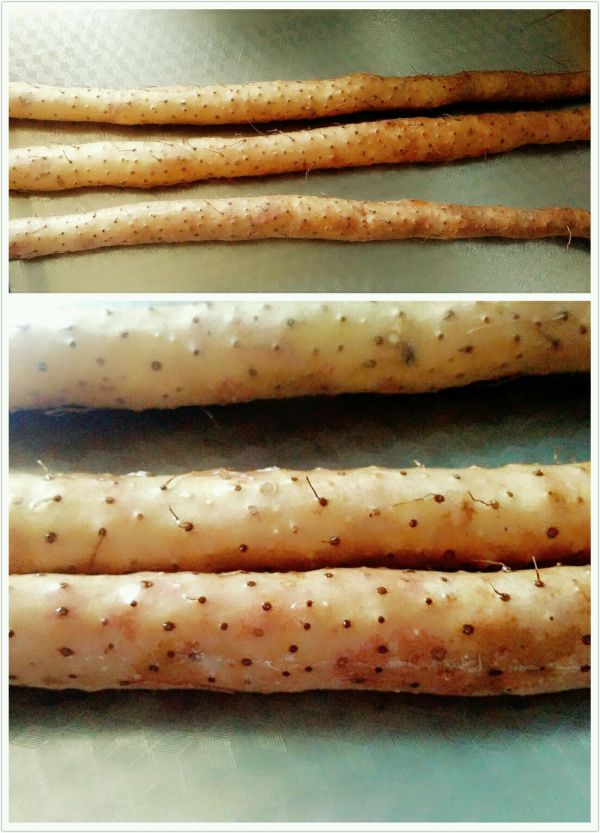 蔓越莓蓝莓山药