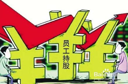 嘿,您瞧HR对员工持股制度的设计!