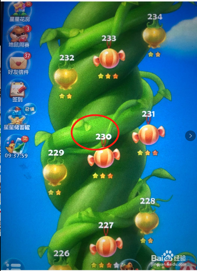 开心消消乐隐藏关230关怎么过