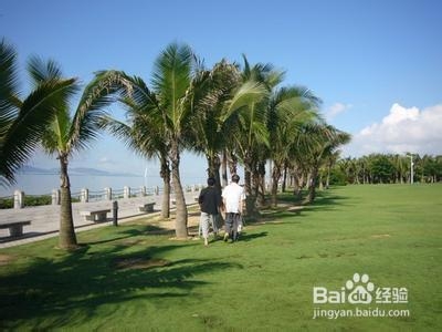 高三文科生临考前的学习方法