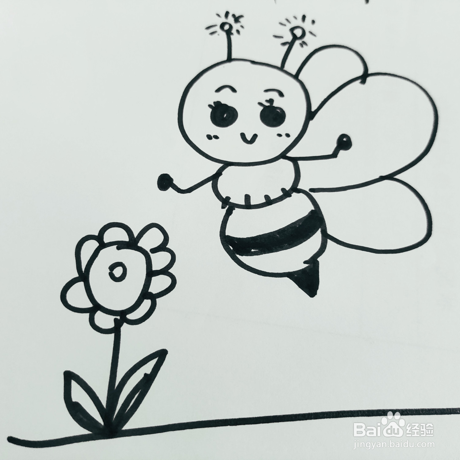怎么来教给孩子画一只采花蜜的蜜蜂简笔画呢?