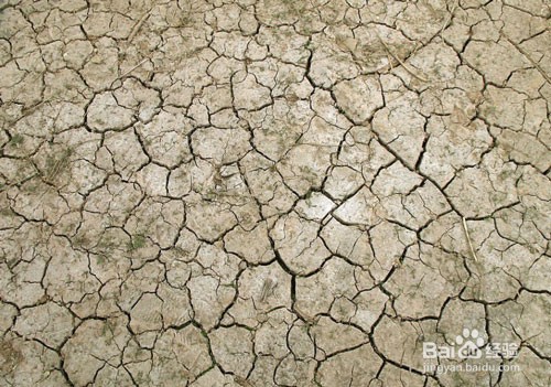 土壤酸化应该怎么办