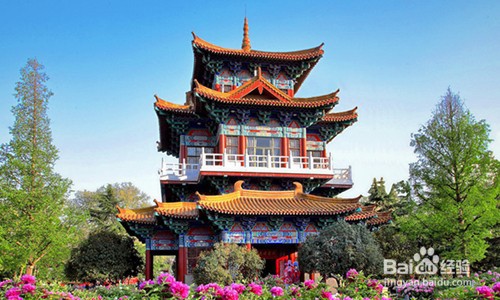 2021洛阳牡丹攻略