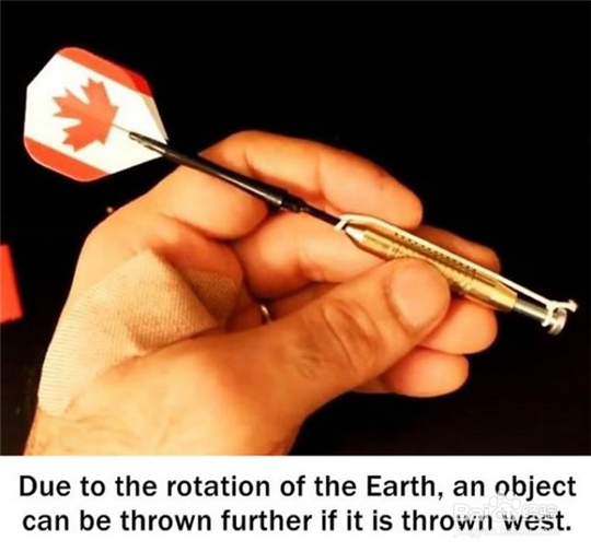 你绝对不知道的十条趣味冷知识