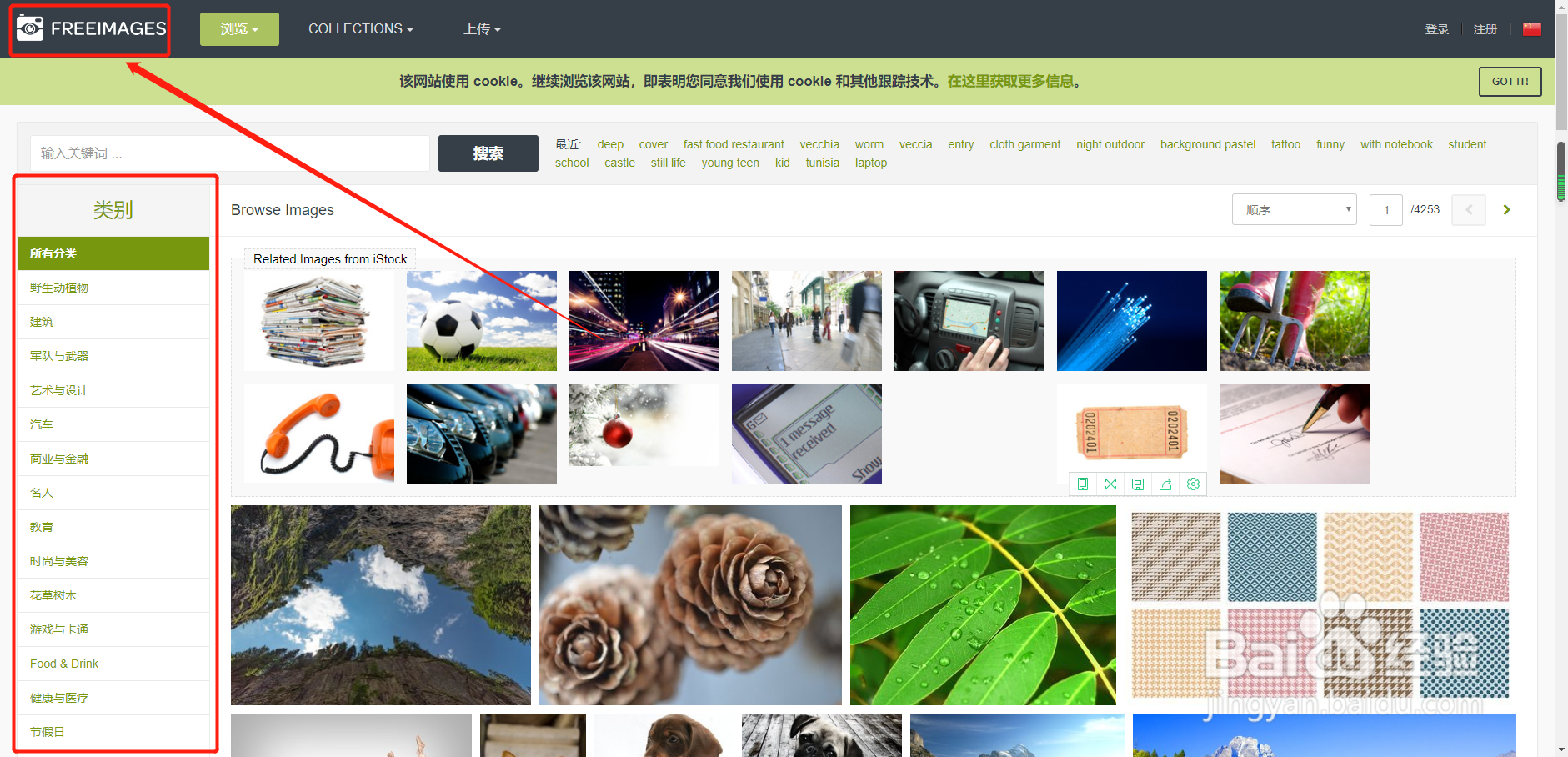 图片的免费素材网