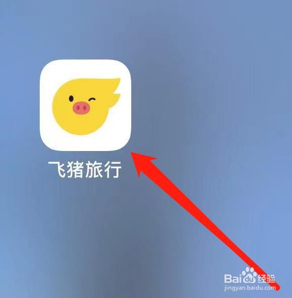 飞猪旅行如何查看签证