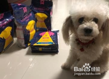 狗粮应该如何挑选?买狗粮重点注意三点!