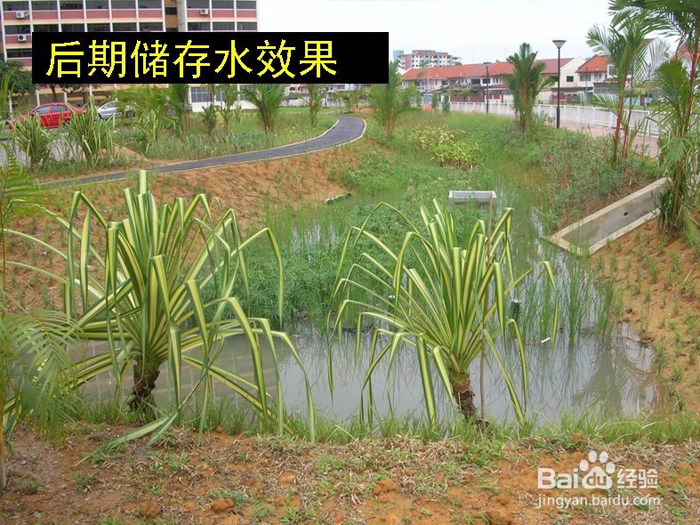 <b>种植景观植物，发现土地不储存水，怎么办</b>