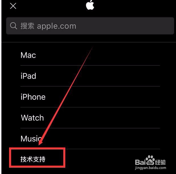 苹果手机怎么看型号