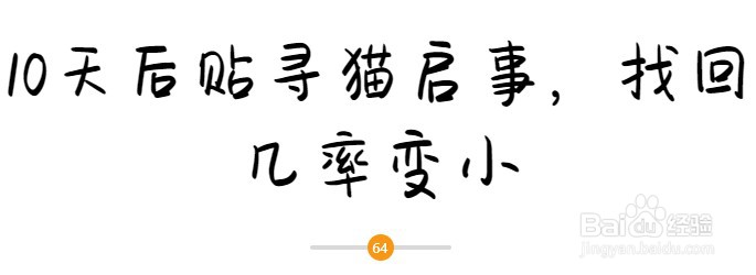 猫咪找回的“黄金时间”