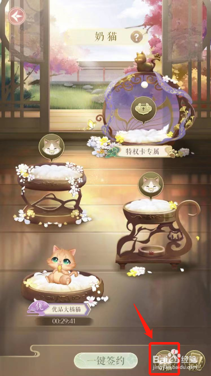灵猫传如何使用奶猫灵合成奶猫