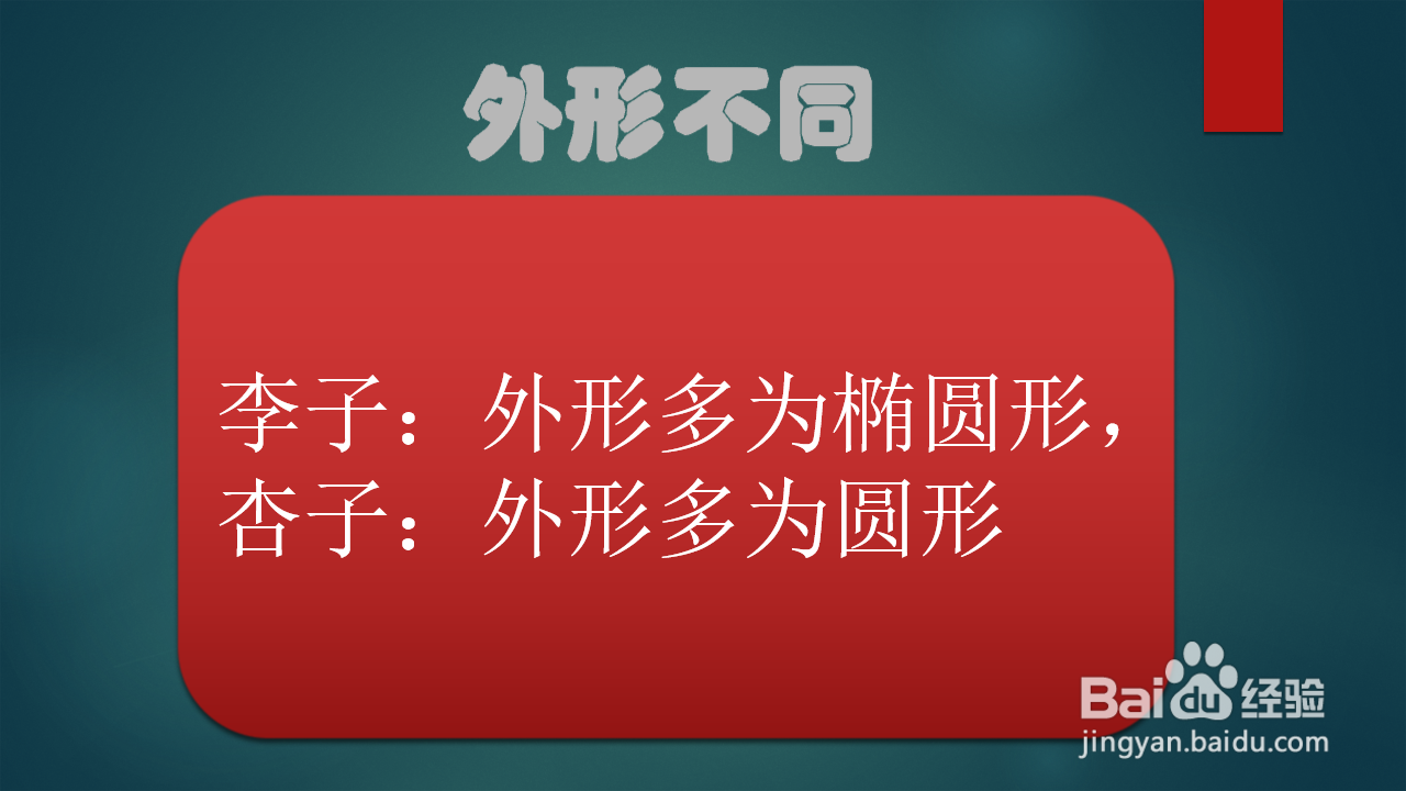 李子和杏子有什么区别