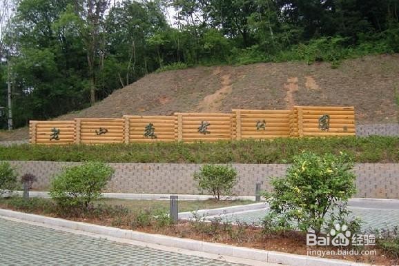 浦口有什么好玩的景点
