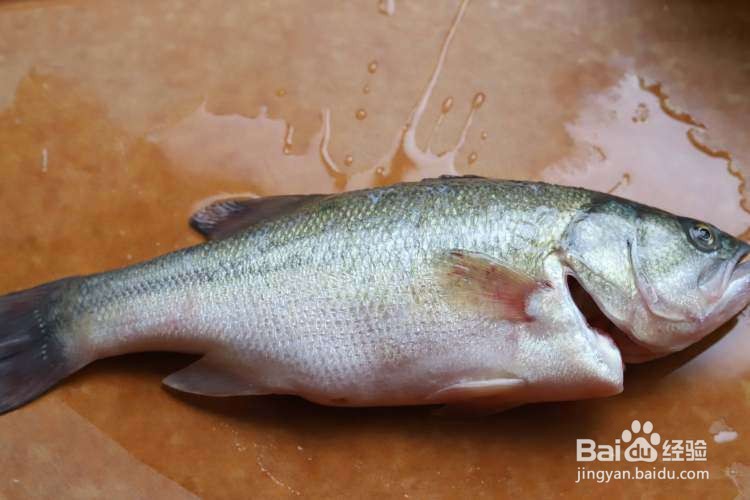 美味的清香蒸鲈鱼