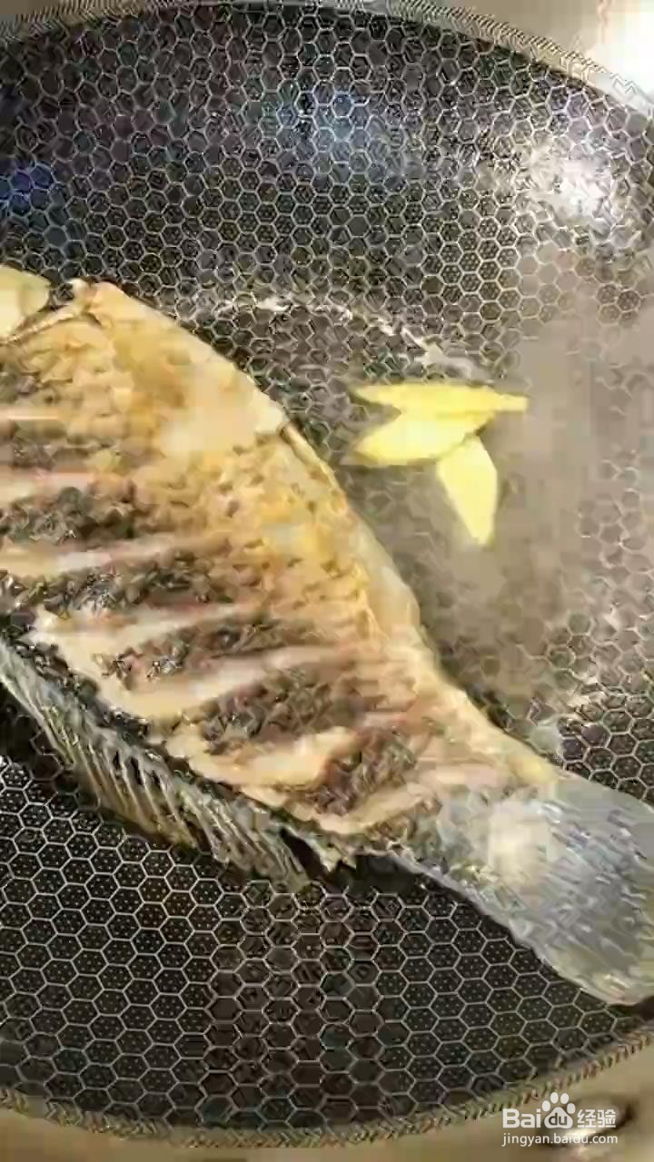 如何制作鲫鱼
