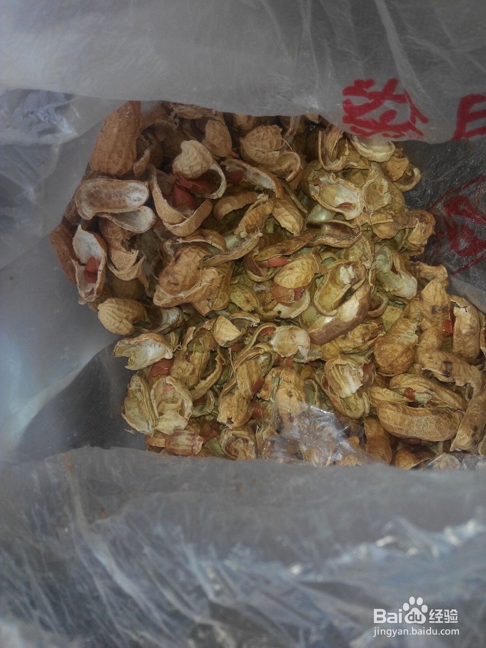 蝴蝶兰换土要提前准备