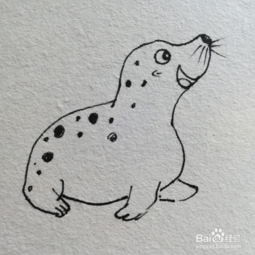 卡通海狮怎么画