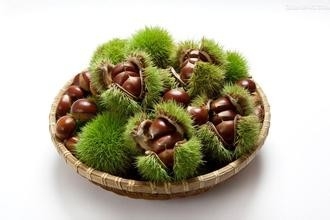 经常吃板栗的好处