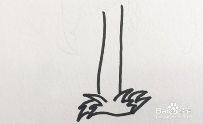 怎么画一棵芭蕉树？