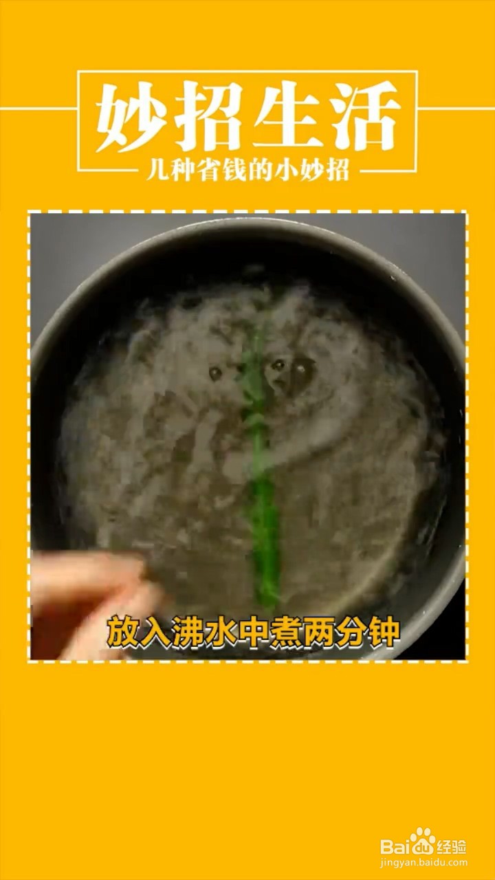 怎么巧妙利用废旧物品省钱