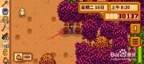 星露谷物语蜂房如何用