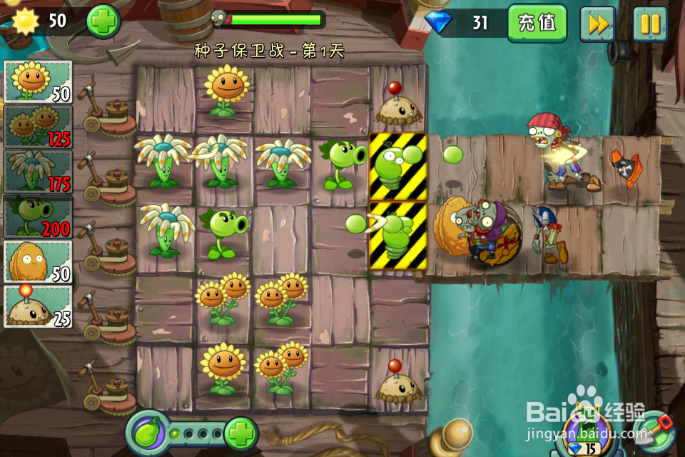 植物大战僵尸2:种子保卫战第1天(海盗港湾)