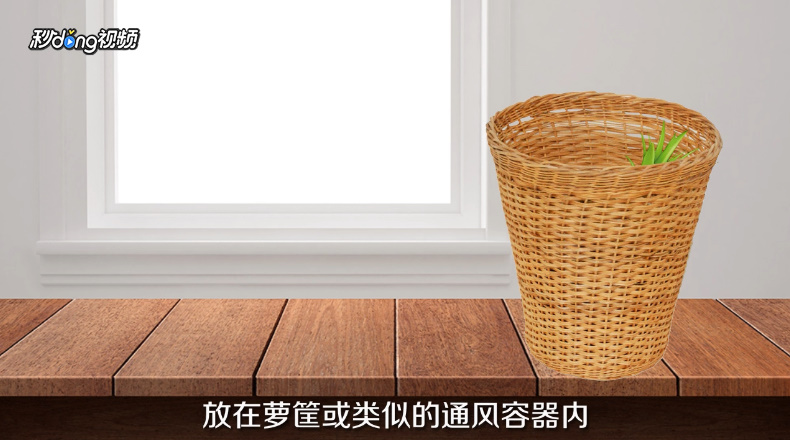 露兜树果实怎么挑选和存放