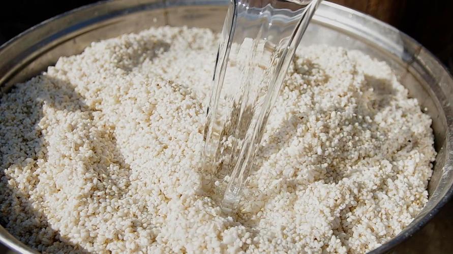 发酵米酒所利用的微生物种类、特点、发酵原理