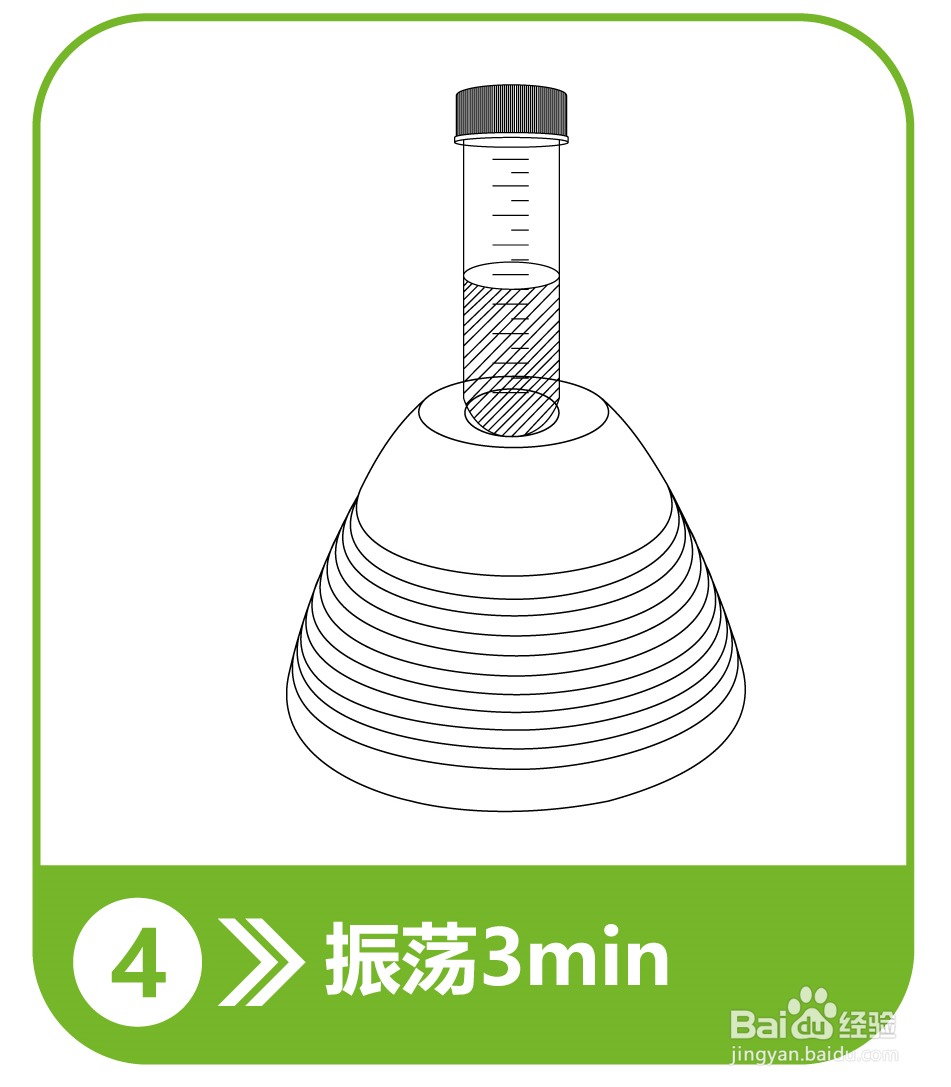 小麦面粉呕吐毒素检测操作流程