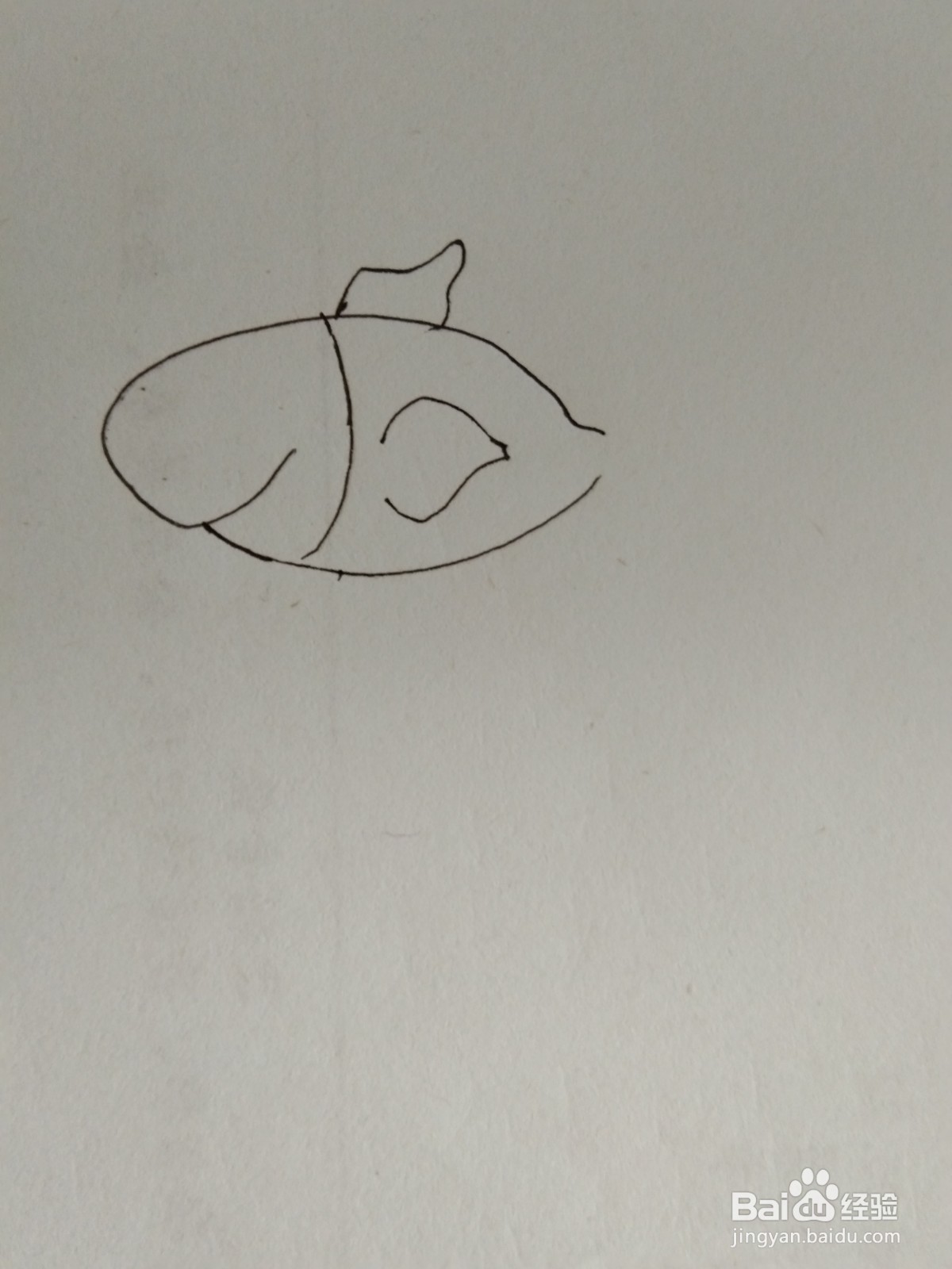 如何画简笔画小金鱼