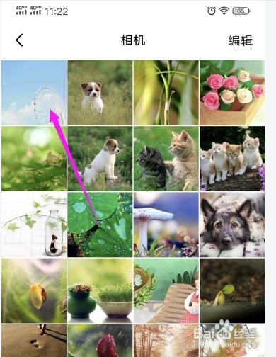 手机已经删除的照片怎么恢复
