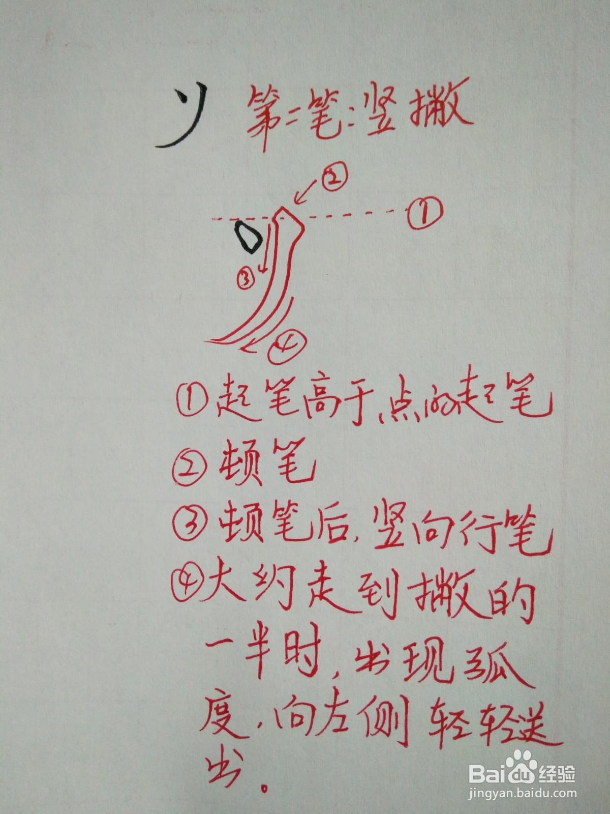 义的笔顺和书写规范