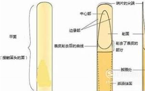 萨克斯入门自学教程