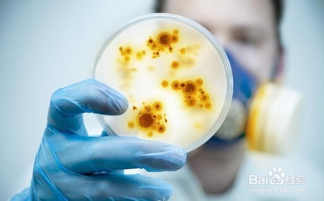 什么感冒用抗病毒口服液?