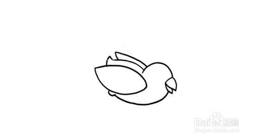 红包鸟简笔画步骤分解
