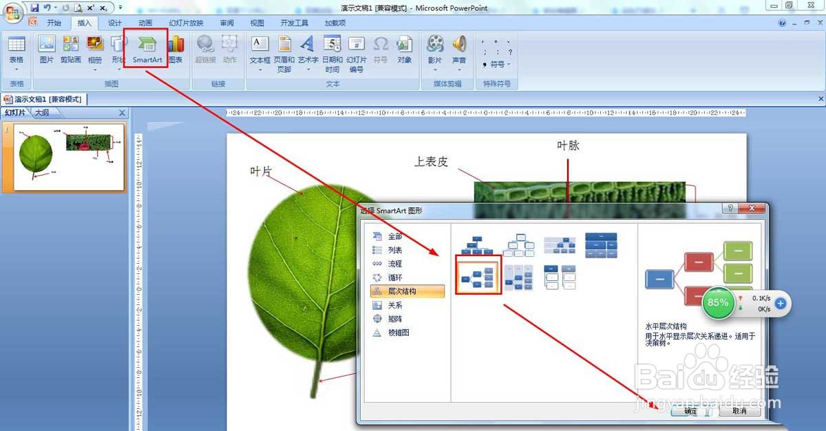 PPT绘制树叶结构名称图解方法的操作