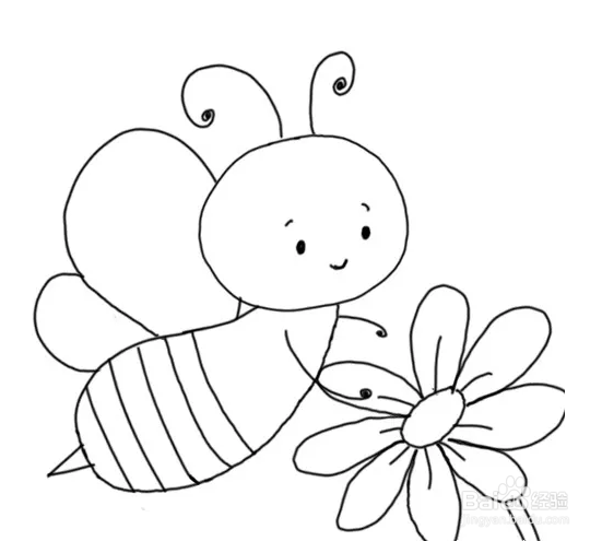 蜜蜂采蜜简笔画 一只图片