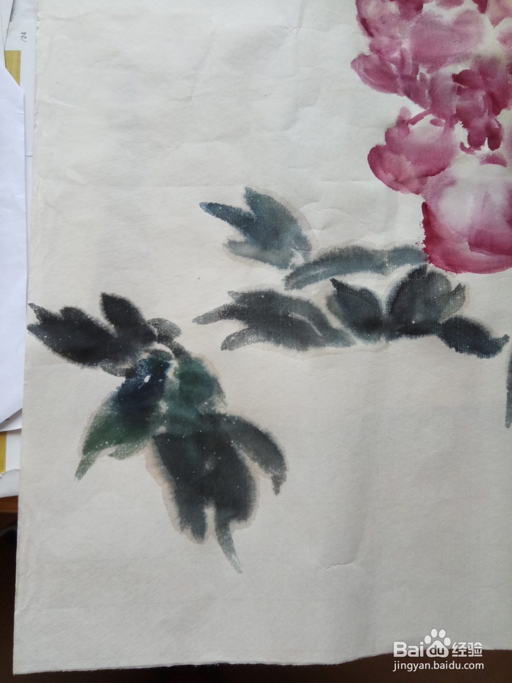 半开折枝牡丹的写意画法