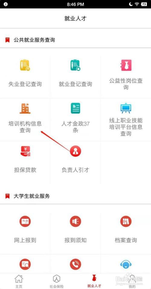 淄博人社怎么查询培训机构信息？