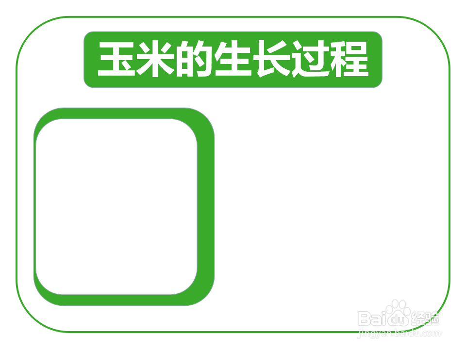 玉米的生长过程手抄报