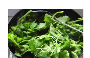 炝炒南瓜尖的做法步骤