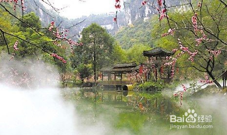 在夏天如何防暑，那中暑了怎么办呢？