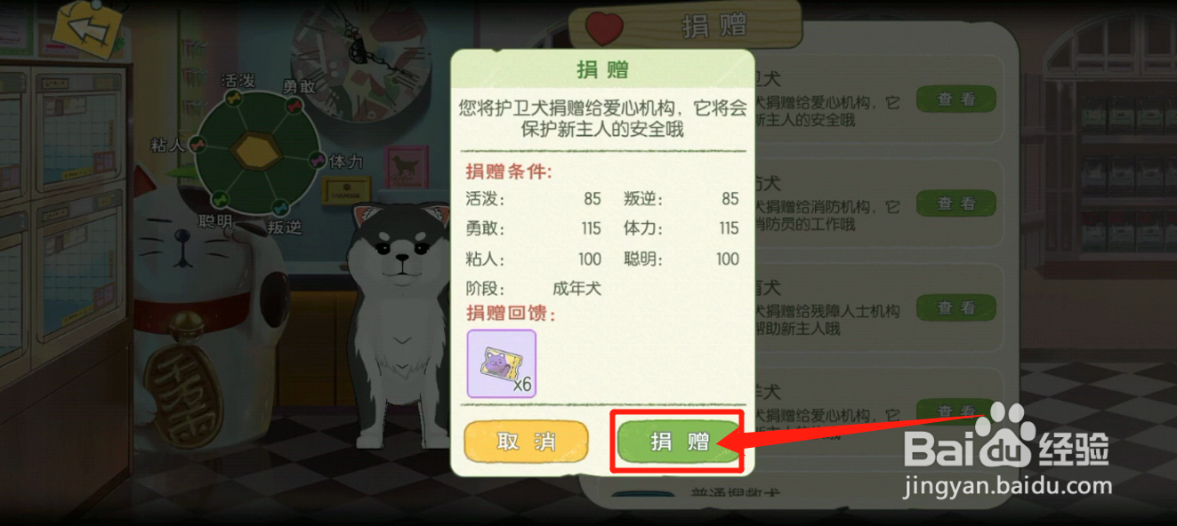 小森中如何捐赠护卫犬