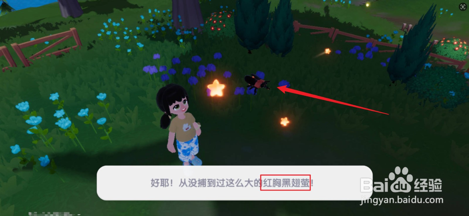 心动小镇红胸黑翅萤怎么捕捉